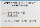 신항로의 개척 및 아메리카의 눈물 수업시연 33페이지