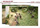 일상생활사 쌀의 역사 발표자료 PPT(A+받음) 8페이지