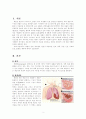 [논문] 폐렴 [의약학]  2페이지