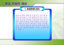 환경 문제  5페이지