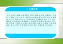 환경 문제  11페이지
