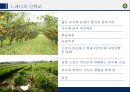 ★ 현대의 교육 - 교육사  4페이지