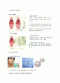  성인간호학 - 편도염 ( 편도의 구조, 진단 및 검사, 치료 및 간호 ) 5페이지
