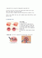  성인간호학 - 편도염 ( 편도의 구조, 진단 및 검사, 치료 및 간호 ) 6페이지