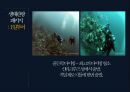 ★ 생태관광 - 갈라파고스, 생태관광 패키지, 갈라파고스 규제, SWOT분석, STP분석 23페이지