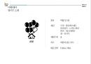 ★ 여행사 경영론 - 열기구 ( 여행테마, 여행상품, 강점, 마케팅 전략, 기대효과 ) 11페이지