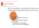 ★ 창의적체험활동 - 개념 및 기반, 대상 및 활동영역, 종류, 시행기관, 사례 12페이지