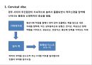 경추頸椎 질환의 이해 2페이지