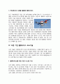 ★ 국제물류 - 드론 산업과 물류 서비스의 연동 (학사학위 논문) 14페이지