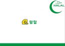 ★ 국제통상학원론 - 이슬람 HALAL 시장 ( 할랄, 터키 할랄 시장, 인도네시아  할랄 시장, 할랄 시장 진출방안 ) 3페이지