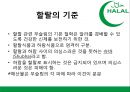 ★ 국제통상학원론 - 이슬람 HALAL 시장 ( 할랄, 터키 할랄 시장, 인도네시아  할랄 시장, 할랄 시장 진출방안 ) 5페이지