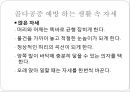 골다골증의 이해理解 10페이지