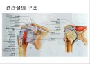어깨 shoulder 질환의 이해 2페이지