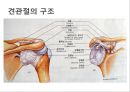 어깨 shoulder 질환의 이해 3페이지
