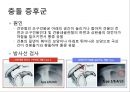 어깨 shoulder 질환의 이해 14페이지