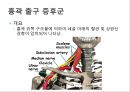 어깨 shoulder 질환의 이해 21페이지