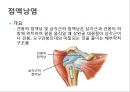어깨 shoulder 질환의 이해 25페이지