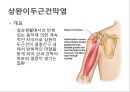 어깨 shoulder 질환의 이해 28페이지