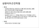 어깨 shoulder 질환의 이해 29페이지