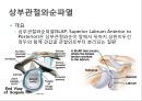어깨 shoulder 질환의 이해 36페이지