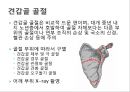 어깨 shoulder 질환의 이해 44페이지