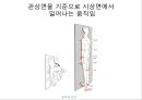 체형body type  분석 6페이지