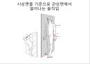 체형body type  분석 7페이지