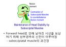 체형body type  분석 11페이지