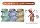 체형body type  분석 12페이지