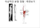 체형body type  분석 14페이지