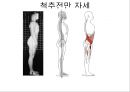 체형body type  분석 16페이지