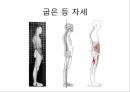 체형body type  분석 18페이지