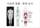 체형body type  분석 19페이지