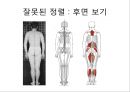 체형body type  분석 21페이지