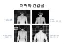 체형body type  분석 22페이지