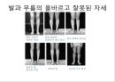 체형body type  분석 24페이지