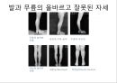 체형body type  분석 25페이지