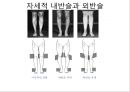 체형body type  분석 26페이지