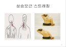일자date목 교정 운동 10페이지