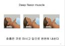 일자date목 교정 운동 16페이지