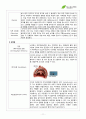 서경대학교 노화학레포트  (텔로미어이론 포함) 11페이지
