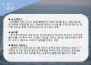 ★ 윈드서핑 - Windsurfing ( 윈드서핑, 역사, 우리나라 현황, 구조, 기타장비, 타는법, 경기, 장점 ) 22페이지