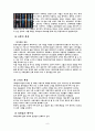 UAE에서의 손목시계 마케팅 전략 8페이지