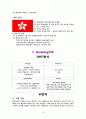UAE에서의 손목시계 마케팅 전략 10페이지