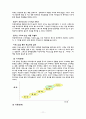 UAE에서의 손목시계 마케팅 전략 11페이지