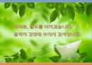 청소년 문제에 대한 사회환경중심 이론 20페이지