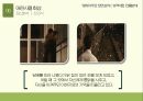 ★ 인간행동과 사회환경 - 바람 ( 영화의 주요 장면 분석 - 성격이론, 인물분석 ) 14페이지