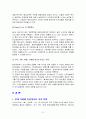 현대 상트로의 인도시장 진출 성공전략 6페이지