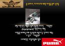 운동화 전쟁 발표ppt 자료, 스포츠 서적, 스포츠 마케팅, 아디다스&나이키의 탄생 실화, 발표자료(위 ppt는 운동화 전쟁 발표자료와 함께 구매하여야 발표가 용이합니다.) 45페이지