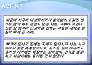 문학개론-돌에 짓눌린 잡초  13페이지